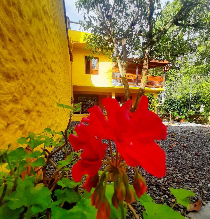 Cafe Racer Hostel Jardín Zewnętrze zdjęcie